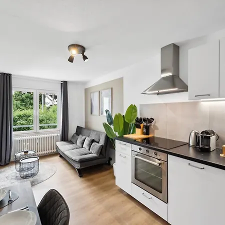 Andriss - Kaiserberg Apartments - Kitchen - Wifi - Parking Kaiserslautern Room photo